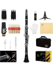 Glory GLY-PBK Professional Ebonite Bb Clarinet with 10 Reeds, Case, Cleaning Kit