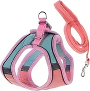 YARNOW 1set Dog Walking Reflective Leash Ergonomic Design Pet Vest for Cats Dogs Comfortable One-Hand Pulling Rope for Outdoor Adventures