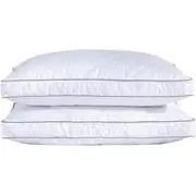 2 x King Size Pillow with free 2 x King pillow cases