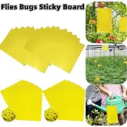 Flies Traps Bugs Sticky Board Catching Aphid Insects Pest Killer Outdoor Fly Tra