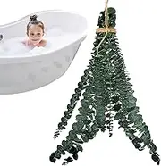 Eucalyptus Garland for Shower | Plant Stems for Showers | Enterpiece Shower Flower Decor Home Dried Eucalyptus | Natural Centerpiece Dry Stems Large Eucalyptus Branches for Supplies