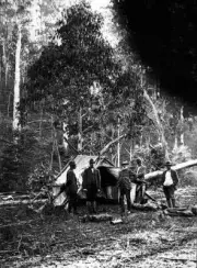 Mount Wellington Bryce's Plain Victoria 1915 - A trip by a Victori- Old Photo