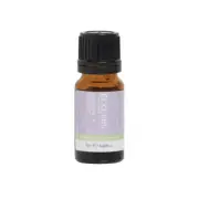 Eco Modern Essentials Little Essential Oil Blend Immune Booster 10ml