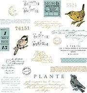Sizzix A5 Clear Stamps w/Framelits Die Bird Song by 49 and Market
