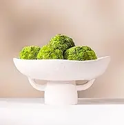 Laurel and Vine Bowl Textured Ceramic Decorative Bowl with Succulent Balls for Counter Top, Farmhouse Table Centerpiece, Living Room, Kitchen Decor (White)