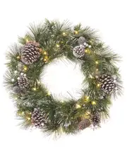 National Tree Company 24in Whitter Pine Wreath With Led Lights