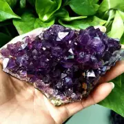 Natural Quartz Amethyst Cluster Crystal Geode Druzy Chakra Healing Ore Specimens