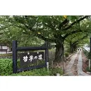 Save 19.99%! Peaceful Kyoto Walking Tour