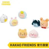 在飛比找蝦皮商城優惠-KAKAO FRIENDS little Ryan litt