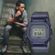 CASIO 卡西歐 G-SHOCK 霧灰漸層 半透明電子錶 (GM-5600MF-2)