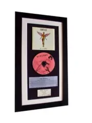 NIRVANA In Utero CLASSIC CD ALBUM GALLERY QUALITY FRAMED+EXPRESS WORLD SHIP