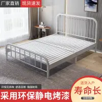 在飛比找蝦皮商城精選優惠-工廠直銷 床架 雙人床 床 耐用北歐鐵藝床1.5米床傢用雙人