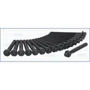 Austral Cylinder Head Bolt Set - 81040300