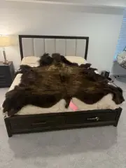 Prime Real Buffalo / Bison Fresh Taxidermy Rug Hide-buff10