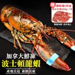 第二件送好禮【海肉管家】活凍波士頓龍蝦(2尾_400-500G/尾)