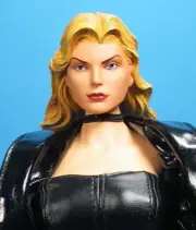 DC Direct 1:6 Scale Black Canary 13 Inch Deluxe Collector Figure MINT IN PACKAGE