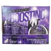 The Mane Choice Boosting Kit Healthy Hair Regimen Reconstructor Treatment