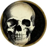 Boneyard Scary Skull Print Dinner Plates 23cm 8pk