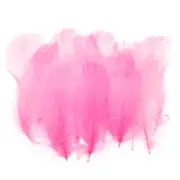 Colorful Feathers 3-5inch, 300pcs Goose Feathers Bulk, Dark Pink
