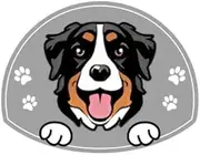Personalized Stainless Steel Dog ID Tag Name Plate Anti-Lost Pet Name Tag Pendant Custom Engraved Cat and Dog Nameplate Label Pet Collar Supplies Accessories,Bernese Mountain,Gold