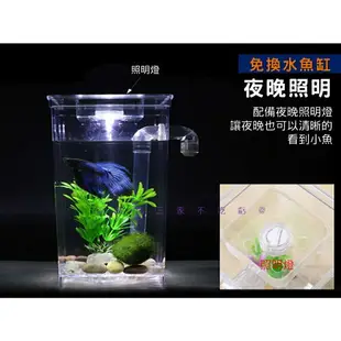 @貨比三家不吃虧@免換水魚缸 懶人魚缸 辦公室小魚缸 生態缸 水族魚 免換水 觀賞魚缸 桌面魚缸 套缸 療癒 壓克力缸