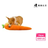在飛比找momo購物網優惠-【Petvibe】寵物抱抱睡紅蘿蔔玩具(拔蘿蔔玩具/寵物益智