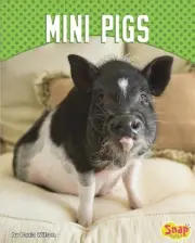 Mini Pigs by Paula M. Wilson (English) Hardcover Book