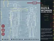 The Measure of Man and Woman: Human Factors in Design by Alvin R Tilley: New