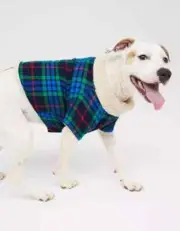 OFFLEASH By Aerie Flannel puppy Shirt size large