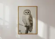 [Namly Design] Poster - Owl Portrait
