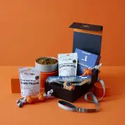 Perfect Paws Hamper with Personalised Dog Lead