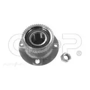 GSP Wheel Hub Assembly - 230110K