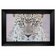 Leopard Portrait Wall Art Hanging Screen Sign Prints Picture Decor 110x80cm