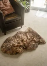 Eco Tanned Luxury Sheepskin Red Fox New Zealand Lambskin Super Soft Premium