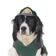All Day Trail Mates Platypus Dog Baseball Hat Green