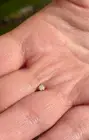 Dermal Top with 3mm Genuine Opal Labret Stud With 14K Solid Yellow Gold Surface