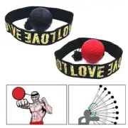 Take Your Fight Skills to the Next Level with this Speed Ball and Head Band