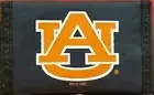 Auburn Tigers Tide Nylon Wallet