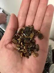 Tumbled Tigers Eye Crystal Chips 6.5oz Bulk Gemstone Undrilled Natural Stones