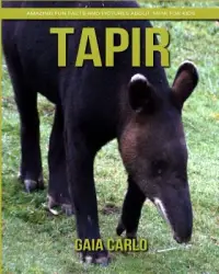 在飛比找博客來優惠-Tapir: Amazing Fun Facts and P