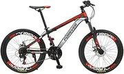 24 Speeds Disc Brakes Fat Bike 22 Inch Tire Bicycle Low-Span Male and Female Disc Off-Road