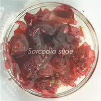 在飛比找蝦皮購物優惠-【乾燥海藻】有鹽無砂 海木耳 Sarcodia suieae