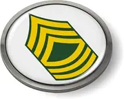 [BestLicensePlateFrames] [Officially Licensed Product] - U.S. Army Rank Insignia Enlisted Soldiers, Military Occupational Specialty 3D Domed CAR Emblem Badge Sticker Chrome Metal Round Bezel - Master Sergeant E-8 (MSG)