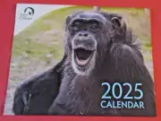 "Save the Chimps - 2025 Wall Calendar