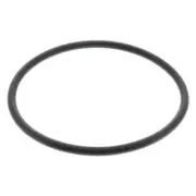 VAICO V10-4722-1 Transmission Oil Filter For Select 17-21 Audi Volkswagen Models (for: Audi)