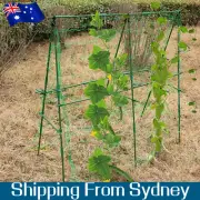 77PCS Garden Trellis Climbing Plant Support Net Mesh Metal Frame Wall Fence AUS