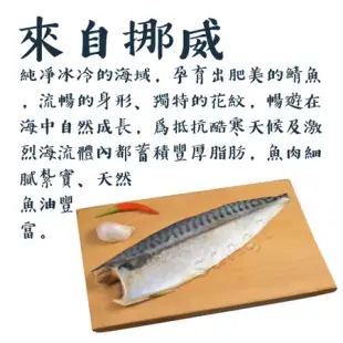 【老爸ㄟ廚房】團購熱銷挪威鯖魚片 (140/170片)-共20片組