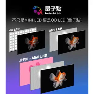 專售店【PHILIPS飛利浦】65吋 4K 量子點+Mini LED安卓連網語音聲控聯網液晶電視 65PML9506