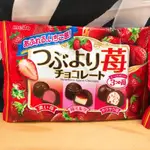[蕃茄園] 日本 名糖MEITO  草莓巧克力綜合口味 日本進口 巧克力  163G 包餡