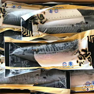 快速出貨 現貨 QQINU 鯖魚 挪威薄鹽鯖魚片 鯖魚 冷凍食品 魚